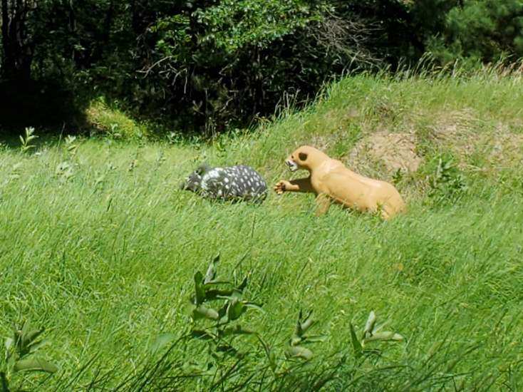 Isanti County Sportsmen's Club