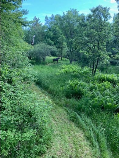 Isanti County Sportsmen's Club