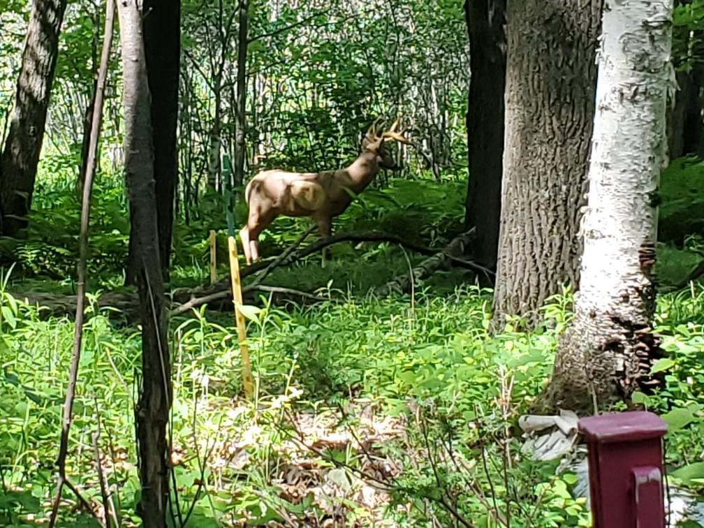 Isanti County Sportsmen's Club